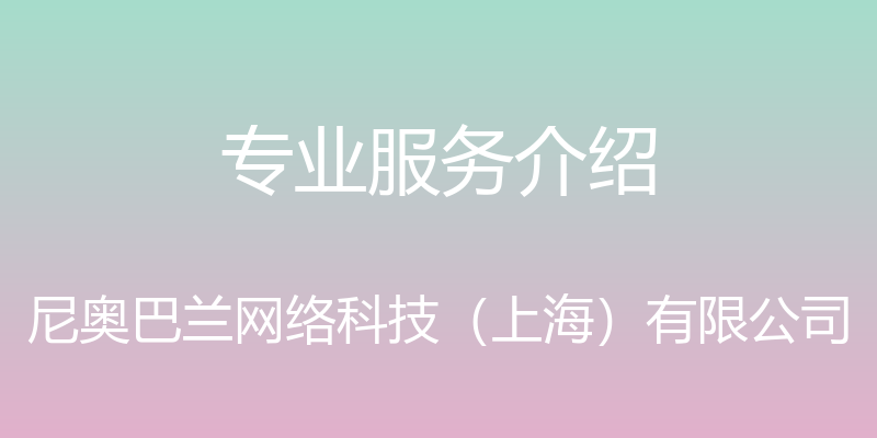 专业服务介绍 - 尼奥巴兰网络科技（上海）有限公司