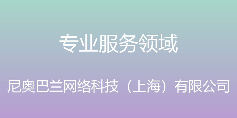 专业服务领域 - 尼奥巴兰网络科技（上海）有限公司